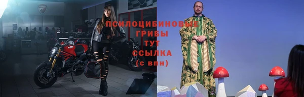 индика Алексеевка