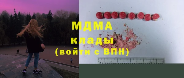 индика Алексеевка