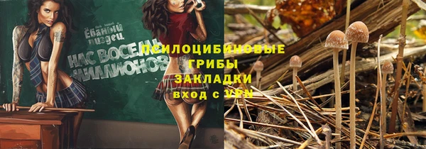 прущая мука Алексин