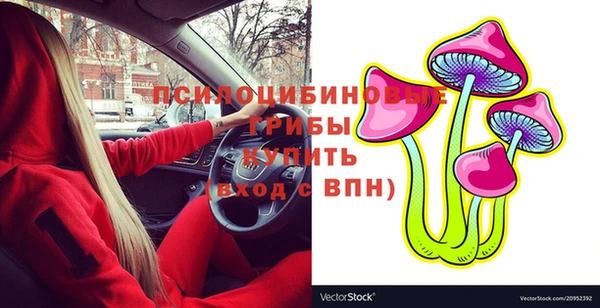 индика Алексеевка