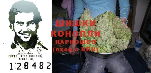 индика Алексеевка