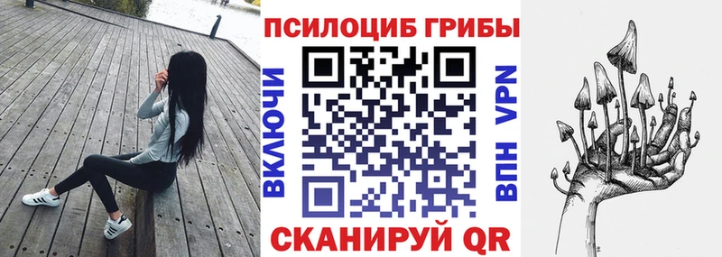Псилоцибиновые грибы Psilocybe  сколько стоит  сайты даркнета клад  Жуков 
